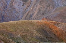 anilkr_patterns_spiti