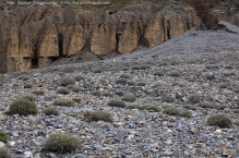 anilkr_moonscapes_spiti1